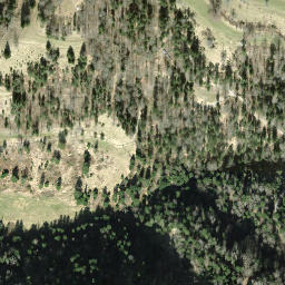 Satellite imagery of Hirzegg, CH