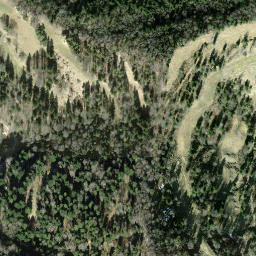 Satellite imagery of Hirzegg, CH