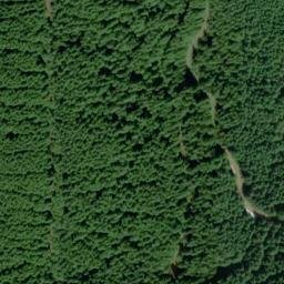 Satellite imagery of MCDONALD MTN — NGS SX1337 — King County, US, US