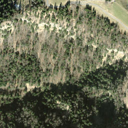 Satellite imagery of Warten, CH