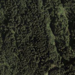 Satellite imagery of Rimler Eck, AT
