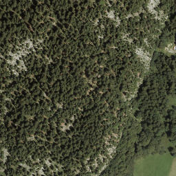 Satellite imagery of Mittagsfluh, AT