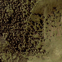 Satellite imagery of Hamberg, AT