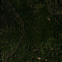 Satellite imagery of survey_point, AT