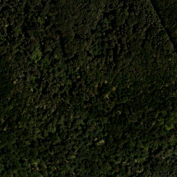 Satellite imagery of survey_point, AT