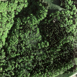 Satellite imagery of Schnebelhorn, CH