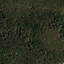 Satellite imagery of Grosse Plischa, AT