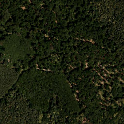 Satellite imagery of survey_point, AT