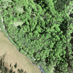 Satellite imagery of Schindelegg, CH