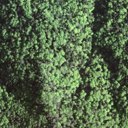 Satellite imagery of Schindelegg, CH