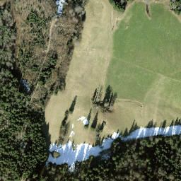 Satellite imagery of Allmen, CH