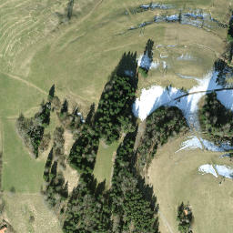 Satellite imagery of Oberegg, CH