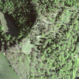 Satellite imagery of Schindelegg, CH