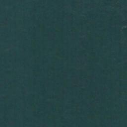 Satellite imagery of Point Defiance, US