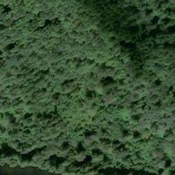 Satellite imagery of W 462 — NGS SX0755 — King County, US, US