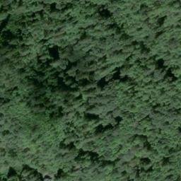 Satellite imagery of W 462 — NGS SX0755 — King County, US, US