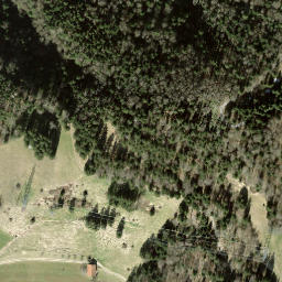 Satellite imagery of Allmen, CH