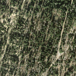 Satellite imagery of Hübschegg, CH