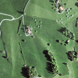 Satellite imagery of Egg, CH