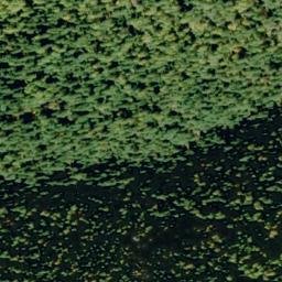 Satellite imagery of Bernier Point, US