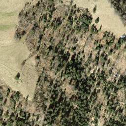 Satellite imagery of Bruederegg, CH