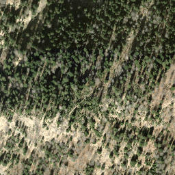 Satellite imagery of Hübschegg, CH