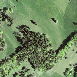 Satellite imagery of Egg, CH