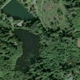 Satellite imagery of X 462 — NGS SX0754 — King County, US, US