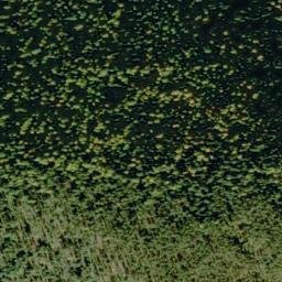 Satellite imagery of Bernier Point, US