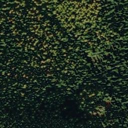 Satellite imagery of Bernier Point, US