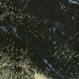 Satellite imagery of Tössstock, CH