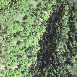 Satellite imagery of Habrütispitz, CH