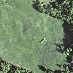 Satellite imagery of Alplispitz, CH