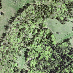 Satellite imagery of Alplispitz, CH