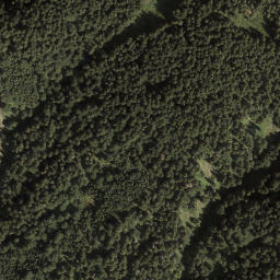 Satellite imagery of Dümelekopf, AT