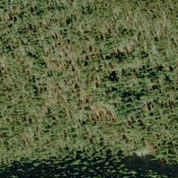 Satellite imagery of Bernier Point, US
