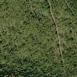 Satellite imagery of Bernier Point, US