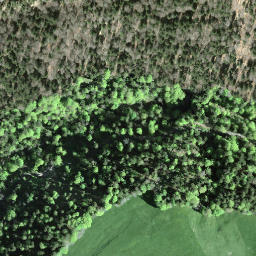 Satellite imagery of Tössstock, CH