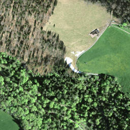 Satellite imagery of Tössstock, CH