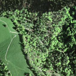 Satellite imagery of Tössstock, CH