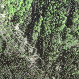 Satellite imagery of Chrüzegg, CH