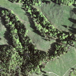 Satellite imagery of Alplispitz, CH