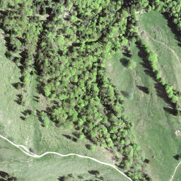 Satellite imagery of Alplispitz, CH