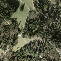 Satellite imagery of Guldener Höchi, CH