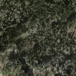 Satellite imagery of Guldener Höchi, CH