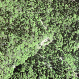 Satellite imagery of Alplispitz, CH