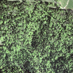 Satellite imagery of Alplispitz, CH