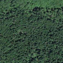Satellite imagery of Key Peninsula, US