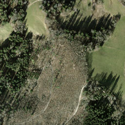 Satellite imagery of Buchenegg, CH