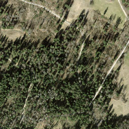 Satellite imagery of Guldener Höchi, CH